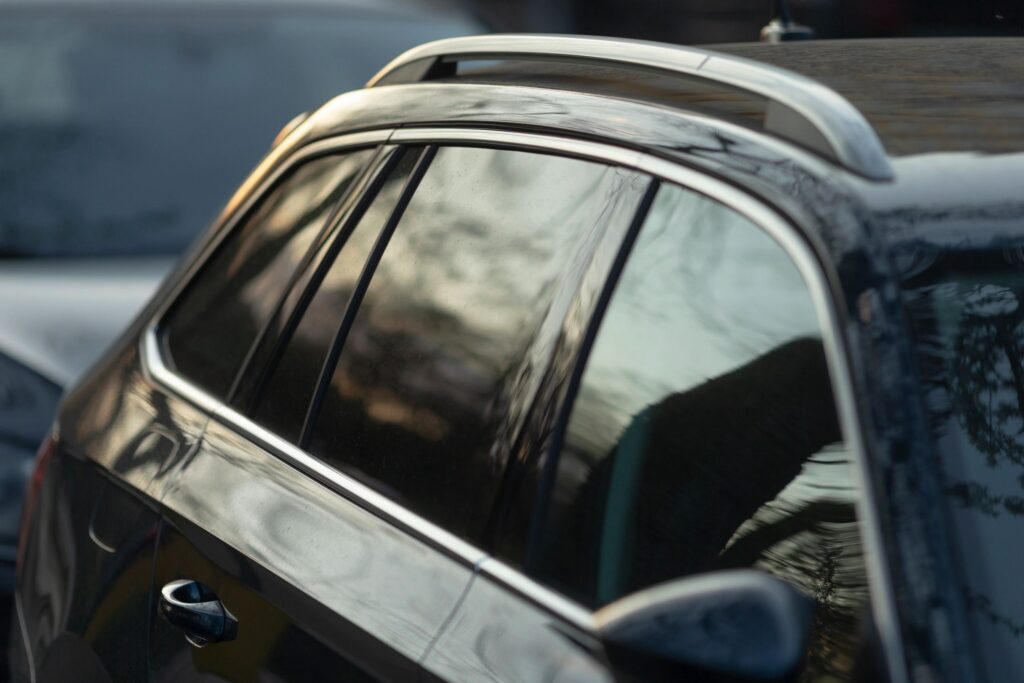 The car roof rack and tinted window reflections create a unique visual